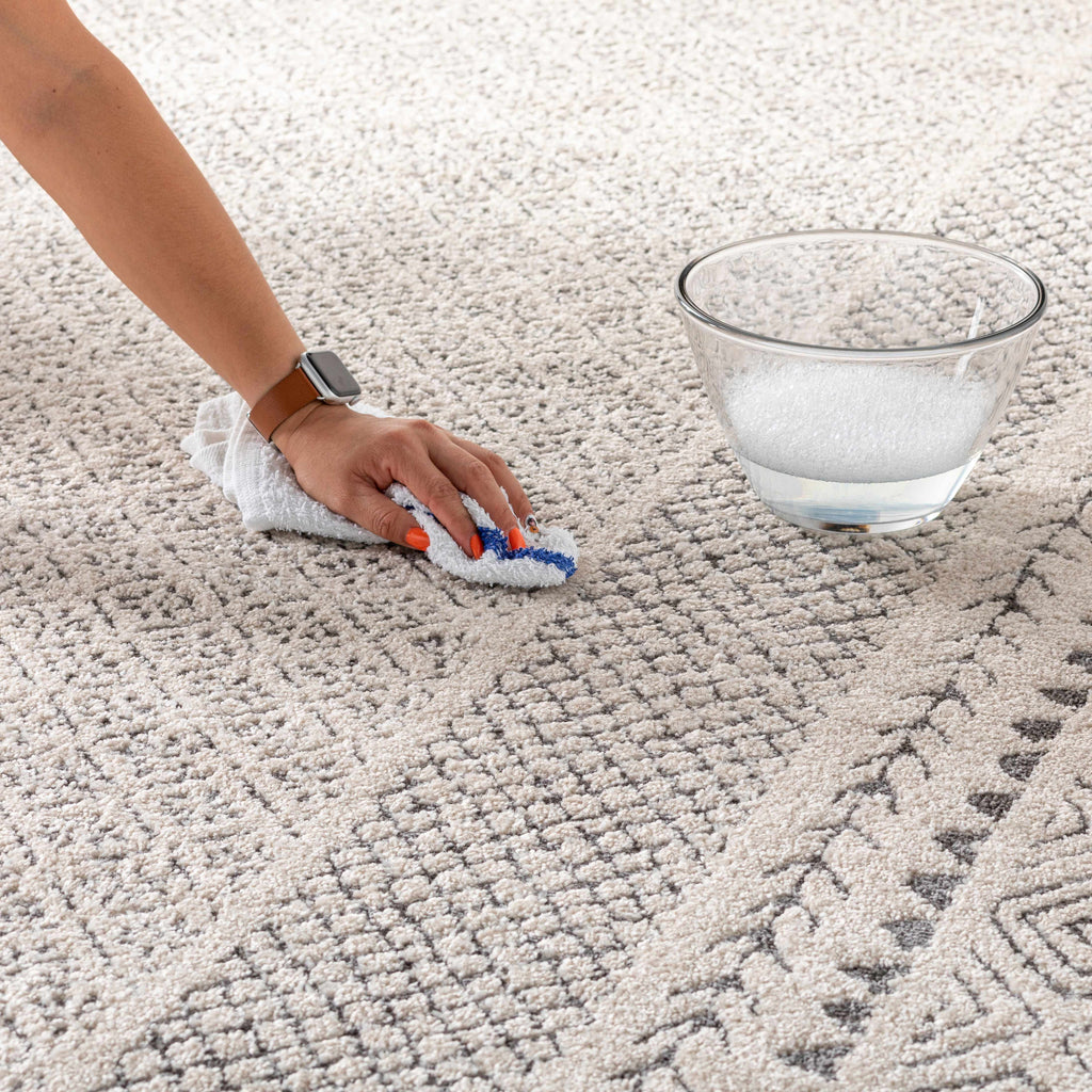 Hauteloom Burdette BRDT Charcoal Machine Made Polypropylene Rug