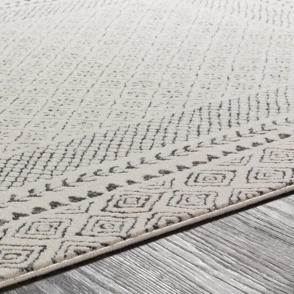 Hauteloom Burdette BRDT Charcoal Machine Made Polypropylene Rug