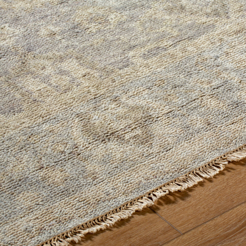 surya biscayne bsy 2313 light gray rug