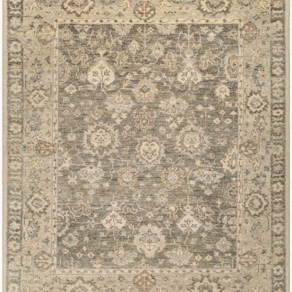 surya biscayne bsy 2316 olive rug