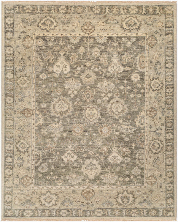 surya biscayne bsy 2316 olive rug