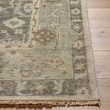 surya biscayne bsy 2316 olive rug
