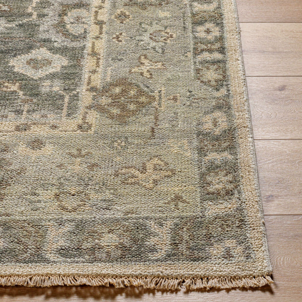 surya biscayne bsy 2316 olive rug