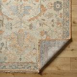 surya biscayne bsy 2320 burnt orange rug