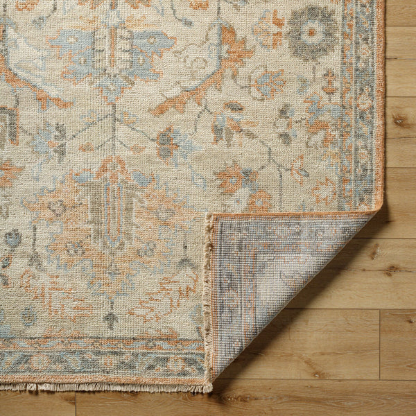 surya biscayne bsy 2320 burnt orange rug