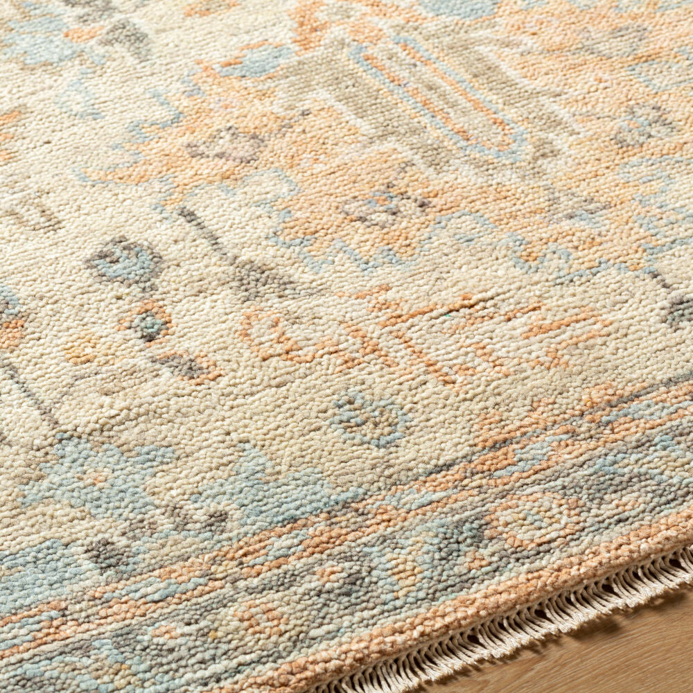 surya biscayne bsy 2320 burnt orange rug