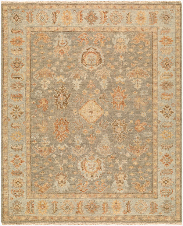 surya biscayne bsy 2322 taupe rug