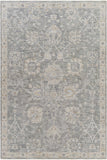 Hauteloom Monterey BTHAY Light Gray Machine Made Polyester Rug
