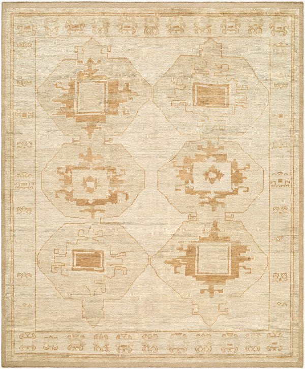 surya besni bzi 2302 beige rug