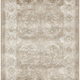 nourison dekor dek01 ivory taupe rug