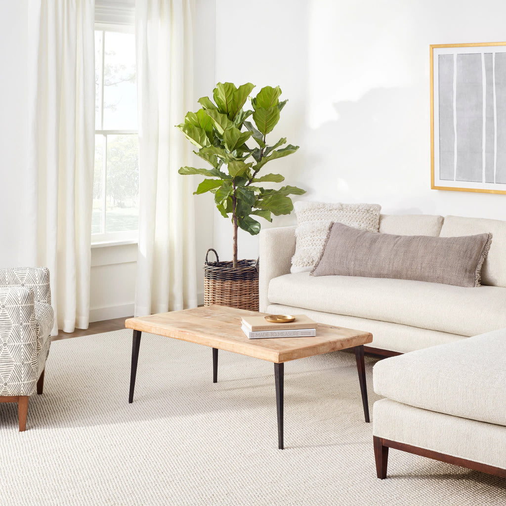 dash albert sonoma da1104 ivory rug