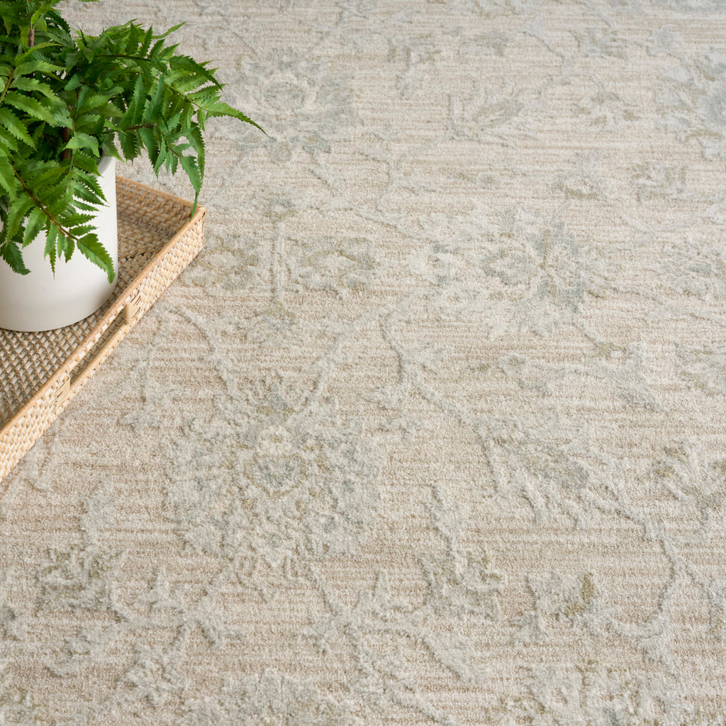 nourison envy evv03 cream rug