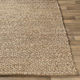 Hauteloom Caspar CASPA Cream Woven/Flatwoven Jute Rug