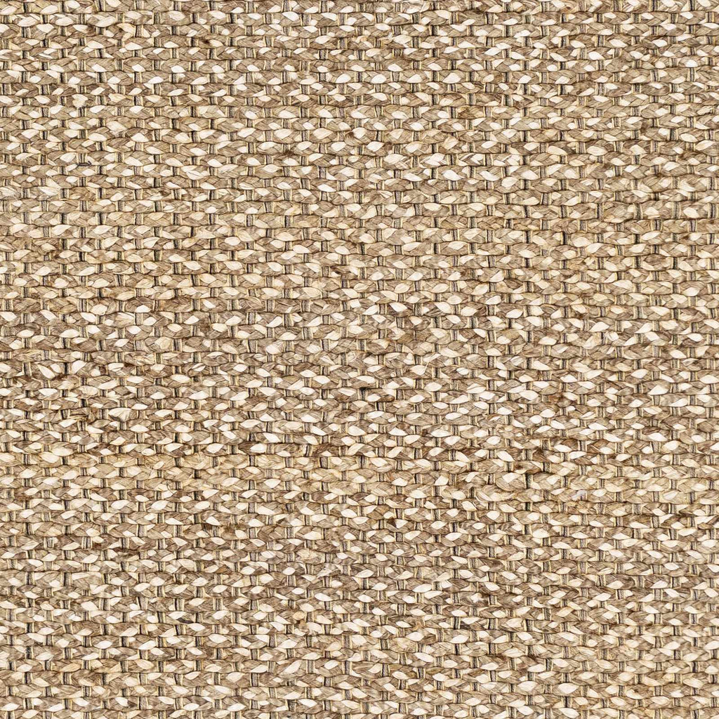 Hauteloom Caspar CASPA Cream Woven/Flatwoven Jute Rug