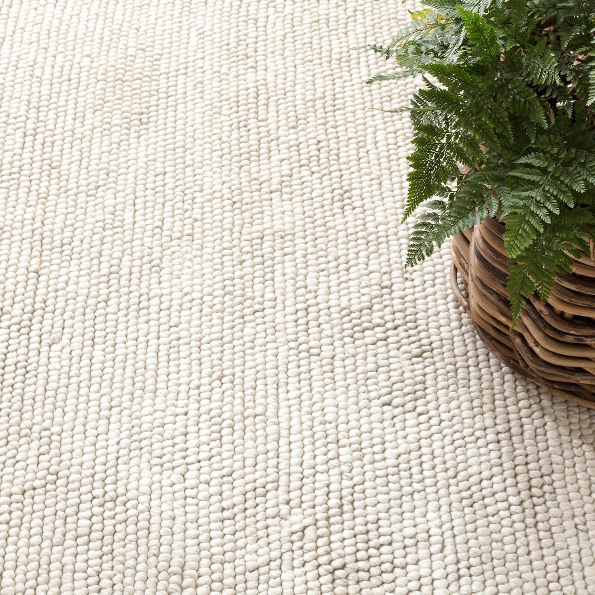 dash albert niels da968 ivory rug