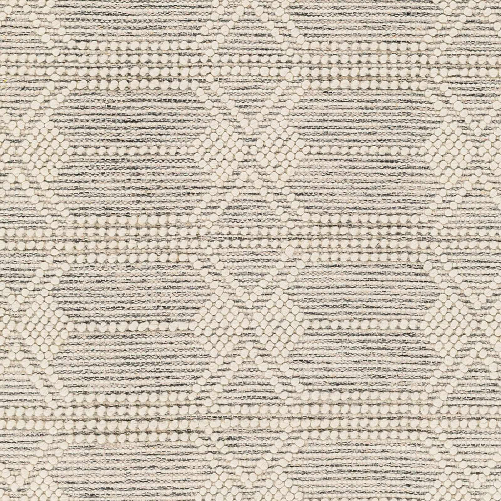 Hauteloom Chars CHARS Ivory Woven/Flatwoven Wool Rug