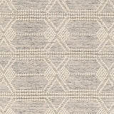 Hauteloom Chars CHARS Ivory Woven/Flatwoven Wool Rug