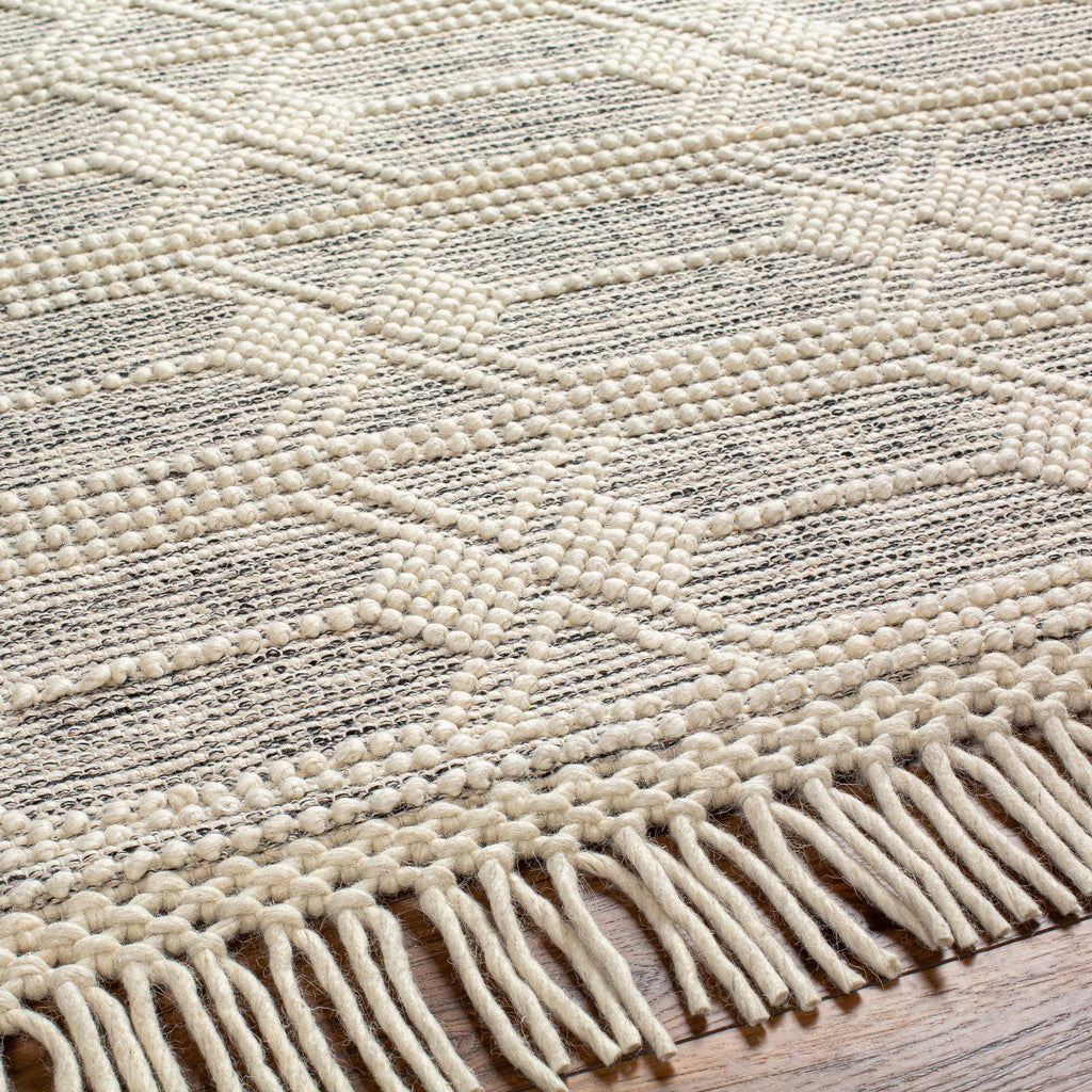 Hauteloom Chars CHARS Ivory Woven/Flatwoven Wool Rug