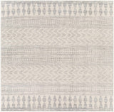 Hauteloom Chinnor CHINN Light Gray Machine Made Polypropylene Rug