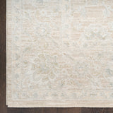 nourison envy evv03 cream rug