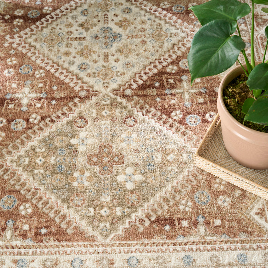 nourison pardis prd04 rust rug