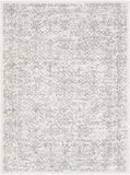 Hauteloom Comstock COMS Medium Gray Machine Made Polypropylene Rug
