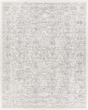 Hauteloom Comstock COMS Medium Gray Machine Made Polypropylene Rug