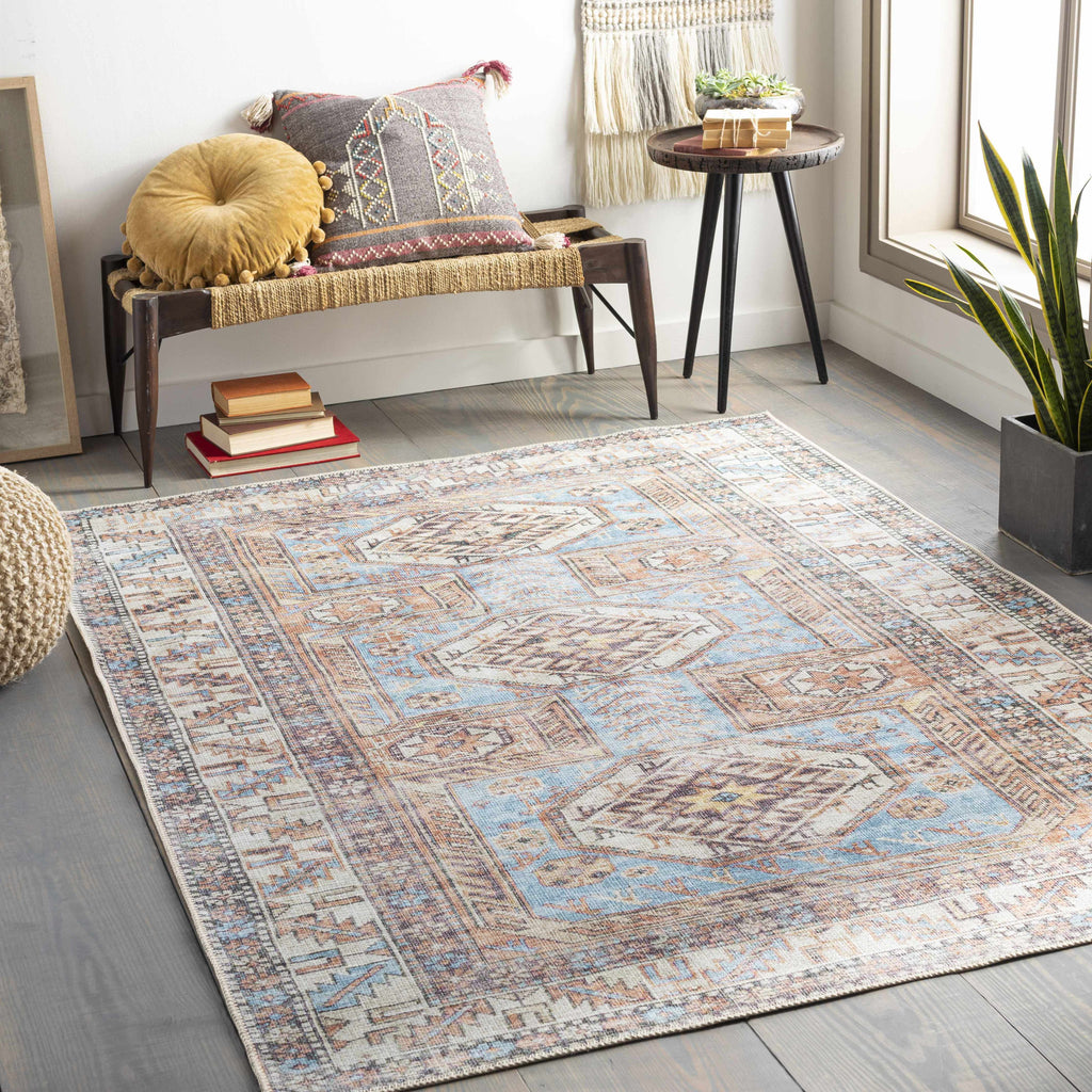 Hauteloom Croy CRYFE Coral Machine Made Chenille-Polyester Rug