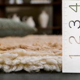safavieh clearance casablanca csb475p rust rug