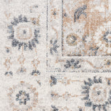 nourison astra machine washable asw16 silver taupe rug