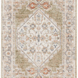nourison astra machine washable asw11 sage multicolor rug