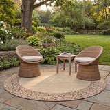 safavieh clearance courtyard cy0727 3001 natural rug