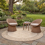 safavieh clearance courtyard cy1502 3001 natural rug