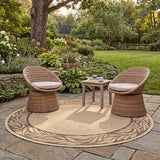 safavieh clearance courtyard cy1551 3001 natural rug