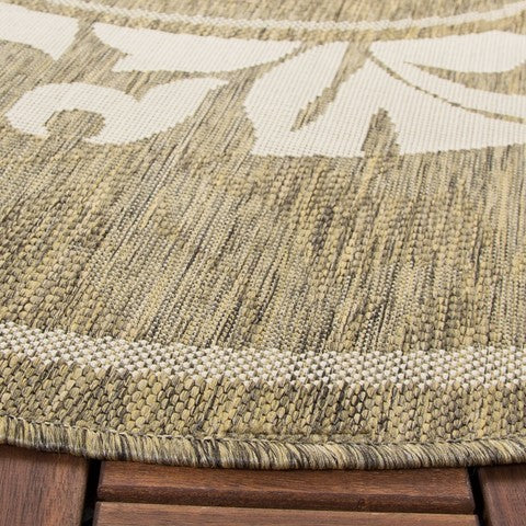 safavieh clearance courtyard cy1704 3009 brown rug