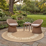 safavieh clearance courtyard cy1704 3009 brown rug