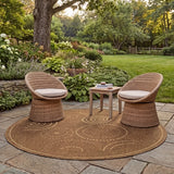 safavieh clearance courtyard cy1906 3009 brown rug