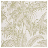 safavieh clearance courtyard cy6373 527 ivory rug