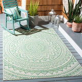 Safavieh Clearance Courtyard CY8734-55712 Ivory Rug