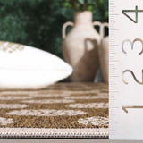 safavieh clearance courtyard cys6002 232 brown rug