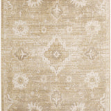 nourison astra machine washable asw19 ivory gold rug