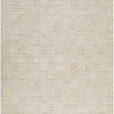 surya dilber dbr 2301 beige rug