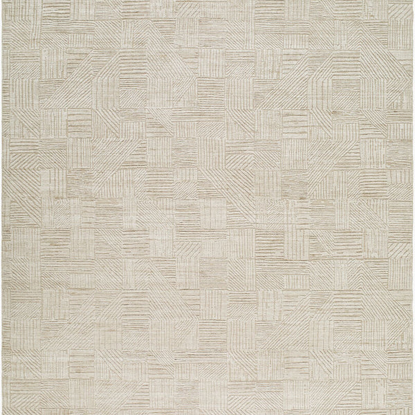 surya dilber dbr 2301 beige rug