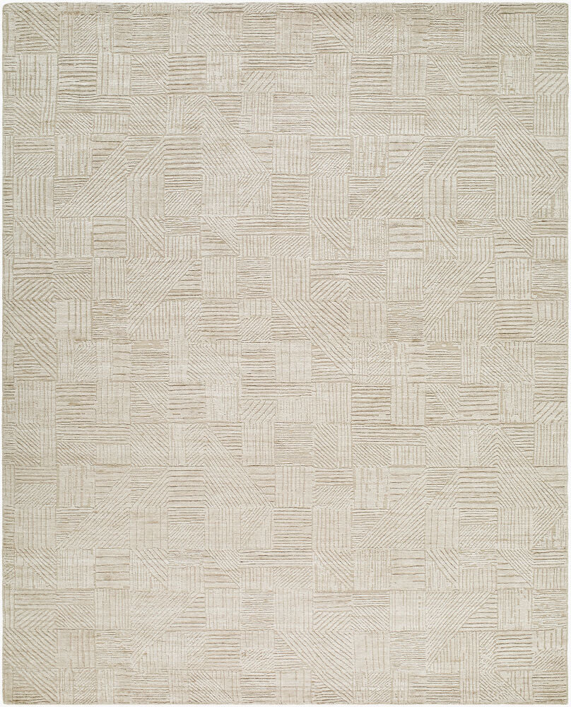 surya dilber dbr 2301 beige rug