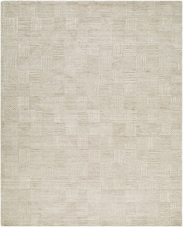 surya dilber dbr 2301 beige rug
