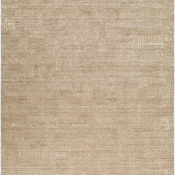 surya dilber dbr 2303 taupe rug