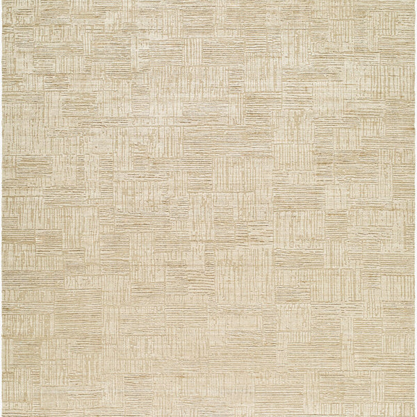 surya dilber dbr 2306 beige rug