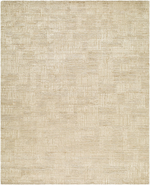 surya dilber dbr 2306 beige rug