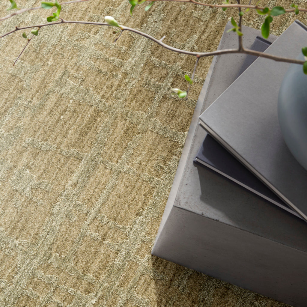 nourison ck090 latitude ltd01 green rug