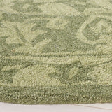 safavieh clearance dip dye ddy151y green rug